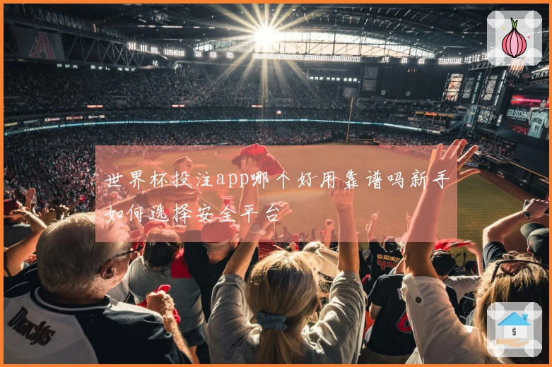 世界杯投注app哪个好用靠谱吗新手如何选择安全平台