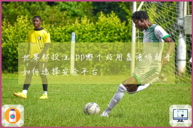 世界杯投注app哪个好用靠谱吗新手如何选择安全平台